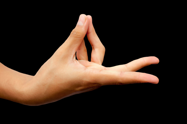 Prana Mudra