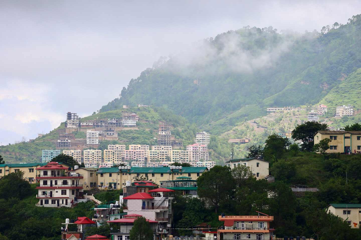 Solan