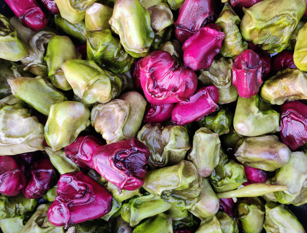 water fruit peel uses in garden