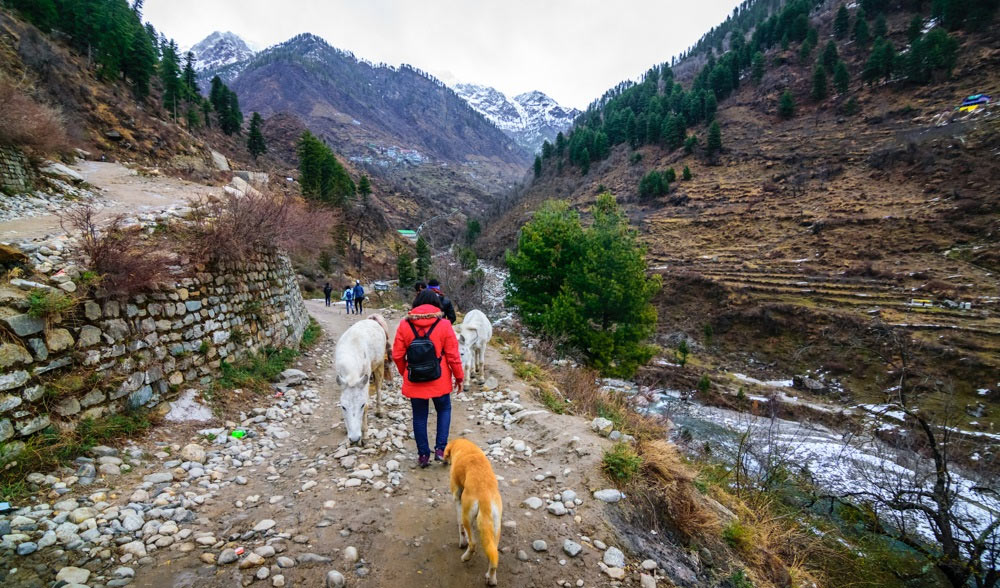 Kheerganga Trek