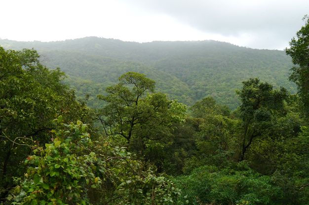 Tungareshwar Wildlife Sanctuary
