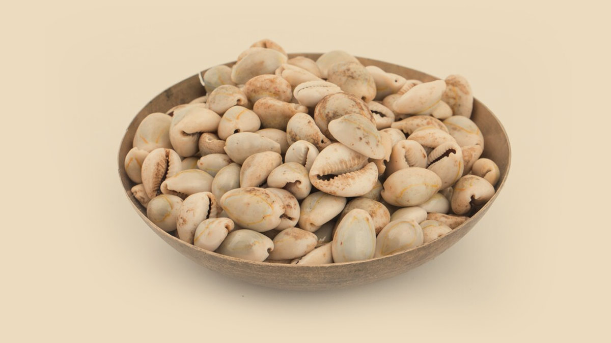 donate cowries on vivah panchami