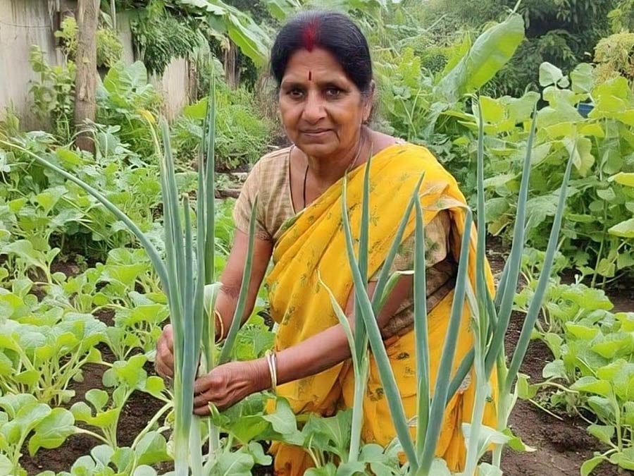 spring onion cultivation