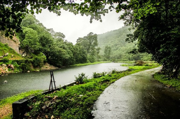 Hill Polo Forest, Vijaynagar