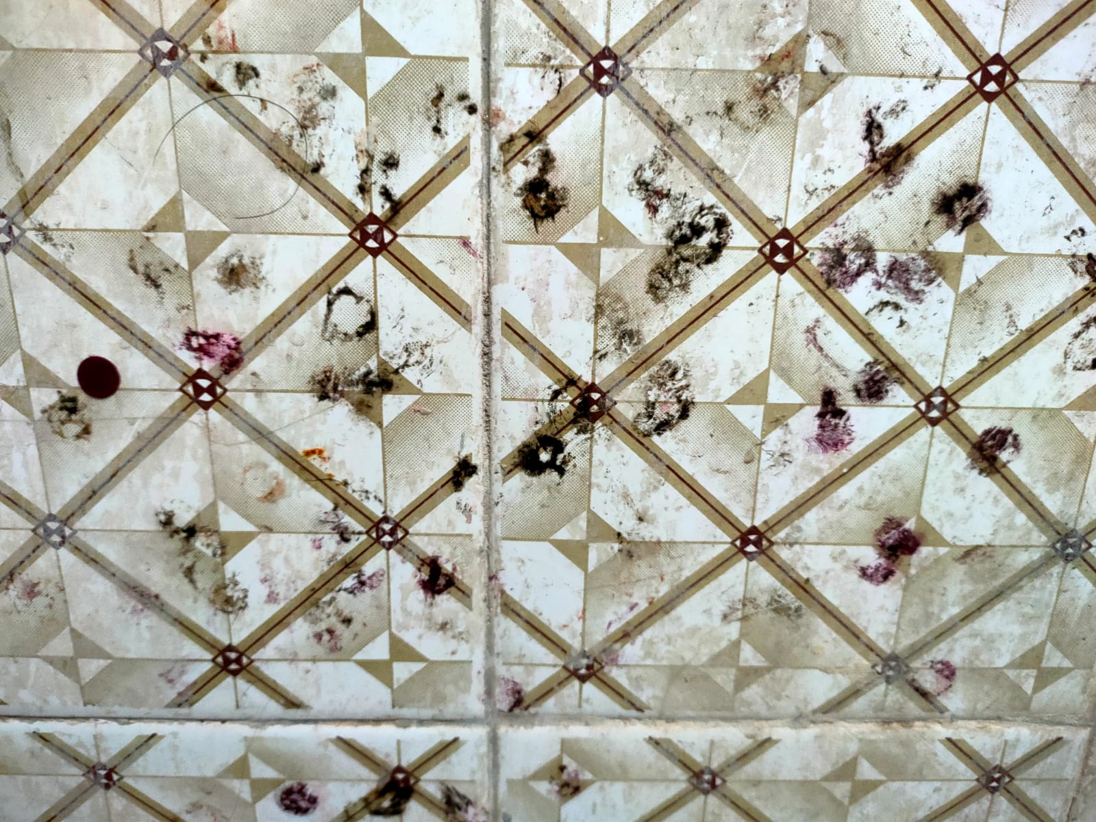 DIY Cleaning Solutions