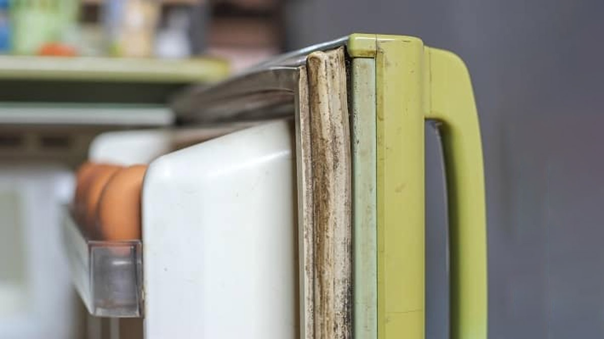 How to clean refrigerator gasket mold
