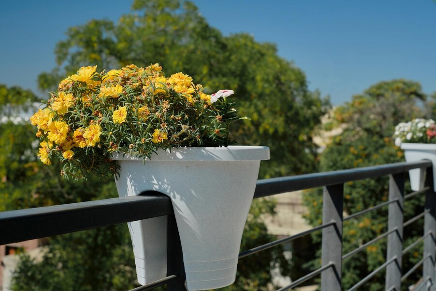 How to organize balcony plants