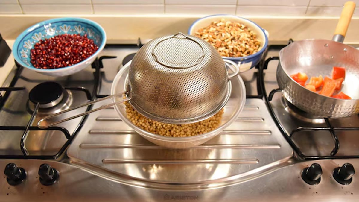 germinate sprouts tips