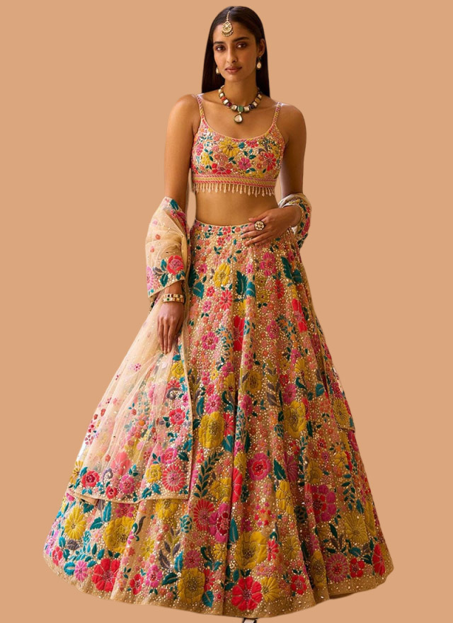multi colour lehenga (3)