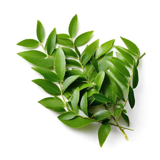 use curry leaves as anti aging