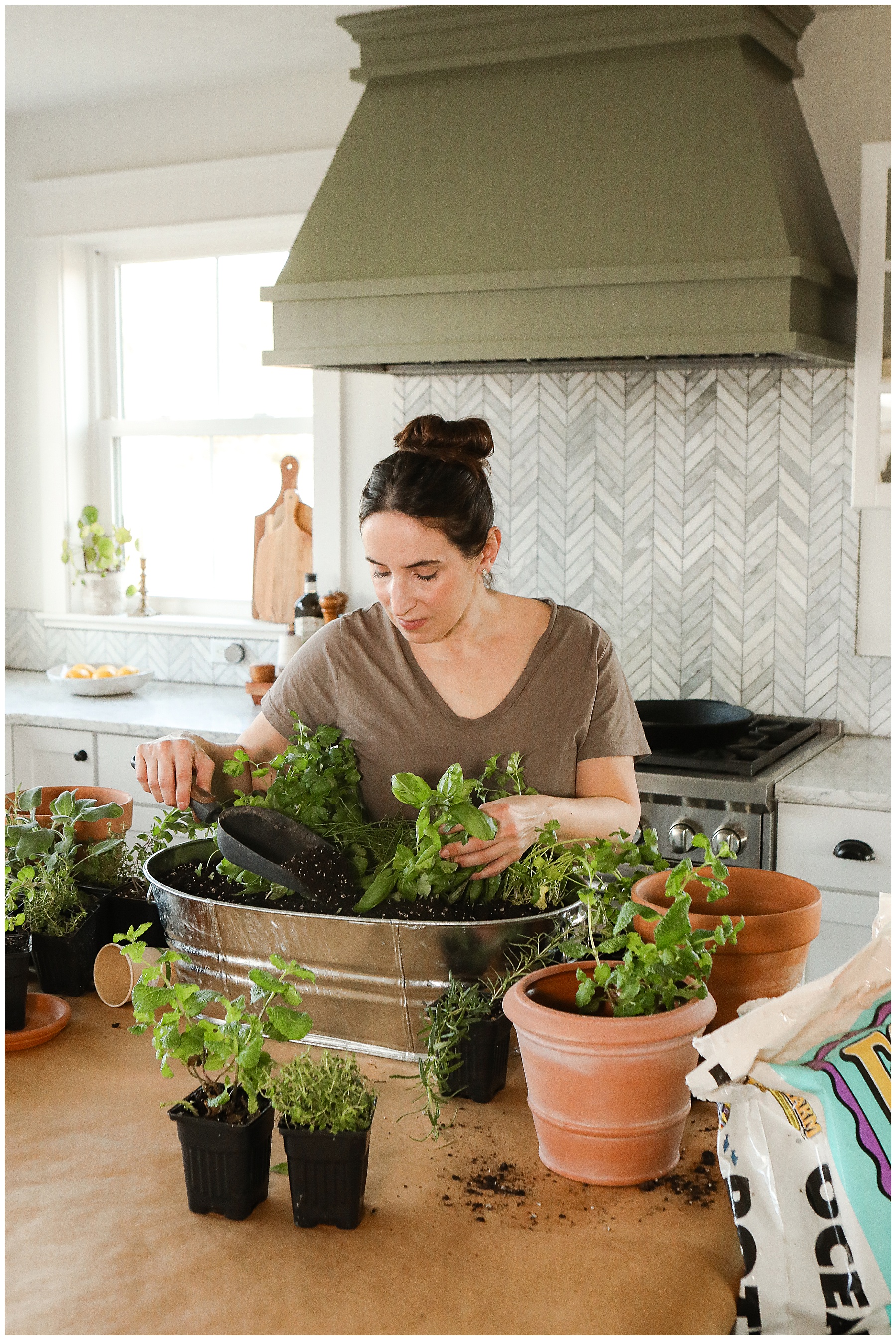 How to start a herb garden at home
