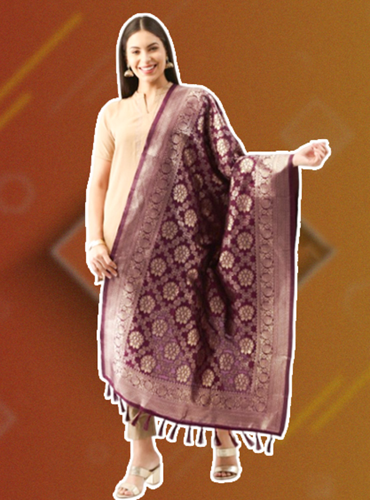 dupatta designs (4)