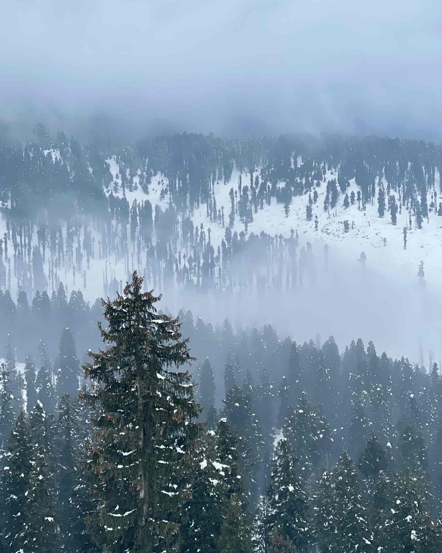 google most searched indian destinations in 2024 kashmir