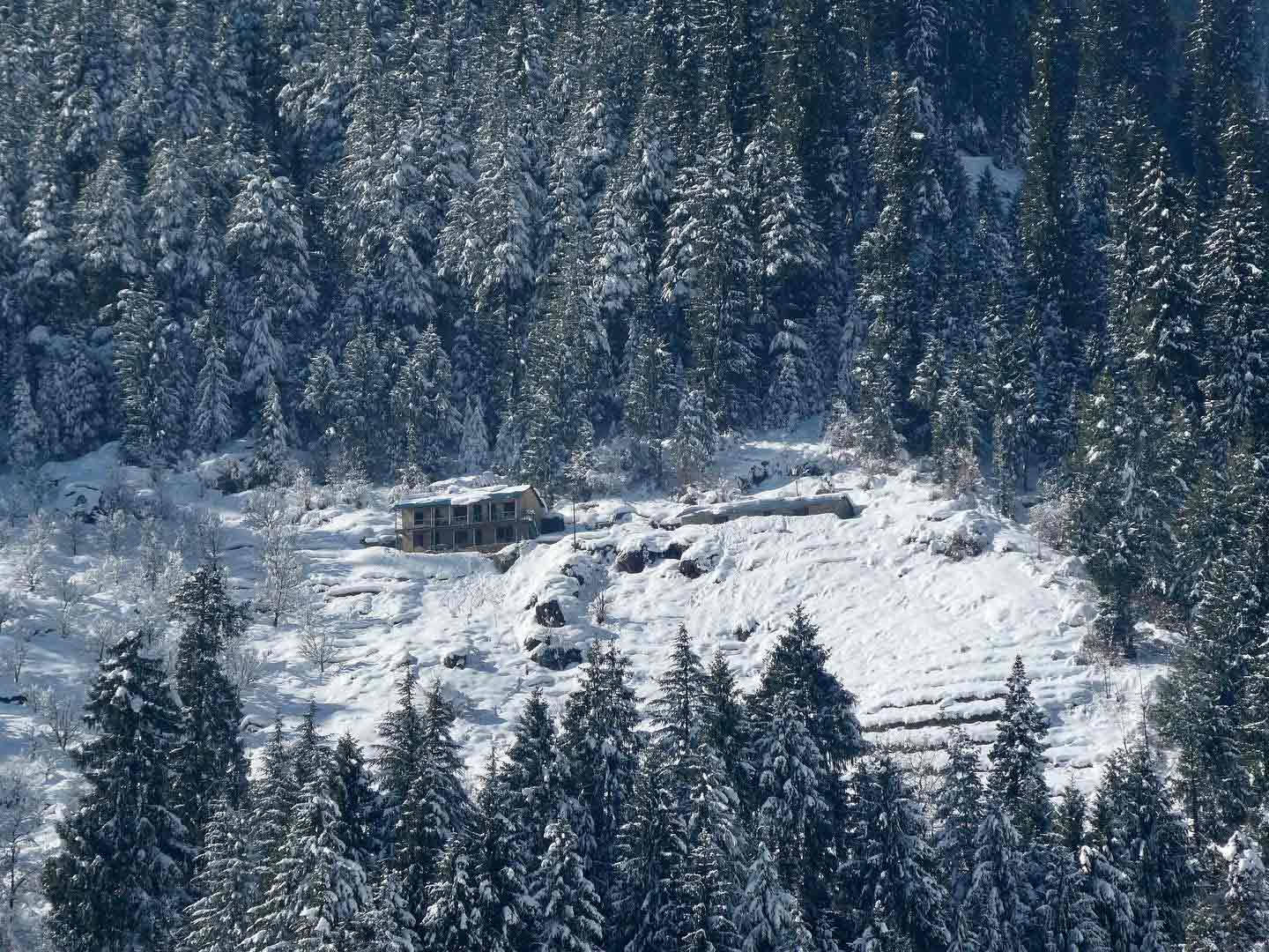 google most searched indian destinations in 2024 manali