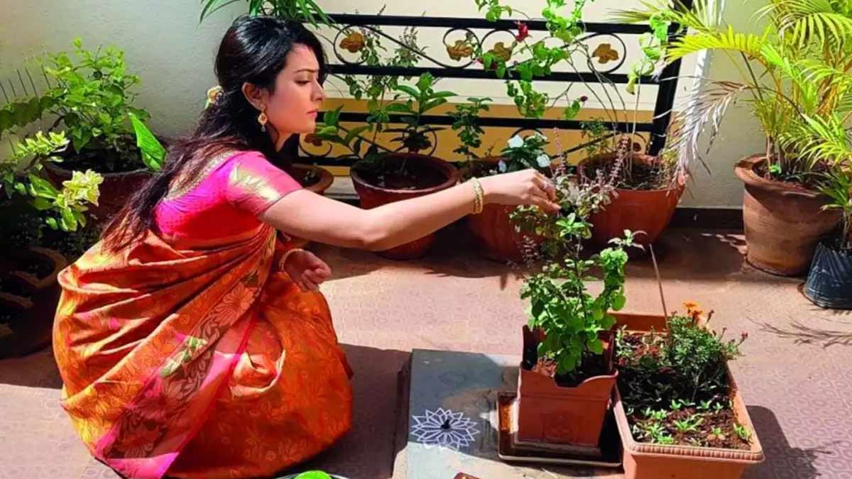 tulsi pujan divas 2024 ki tithi
