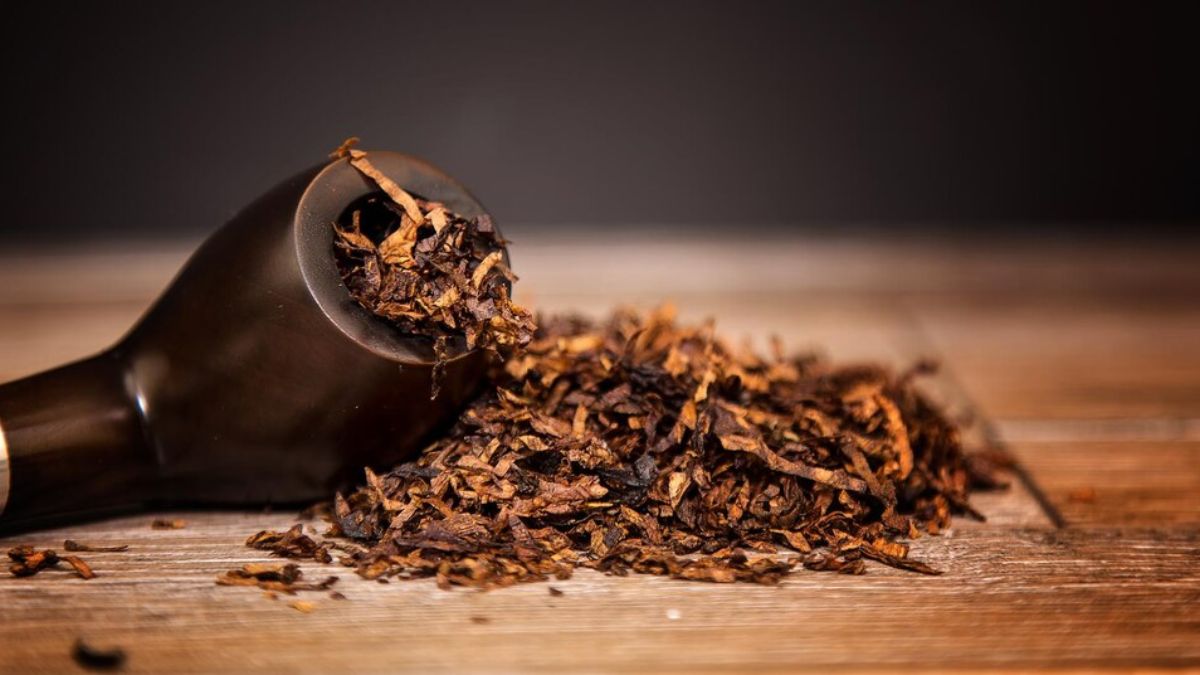 How to drive away termites with tobacco