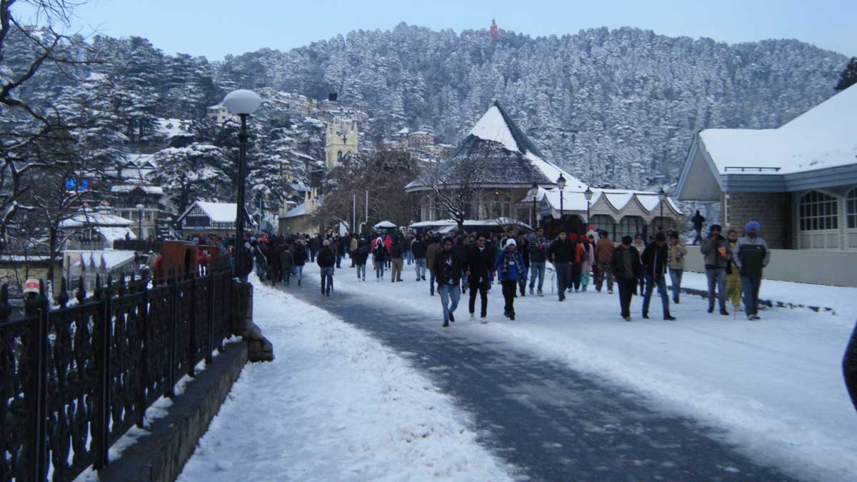 haryana to shimla 3 days trip plan under 10000 budget2