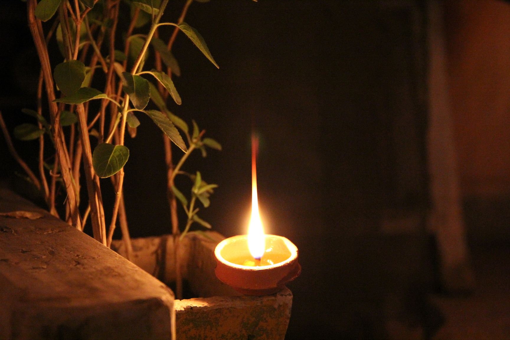 tulsi pujan diwas 2024 ki remedies