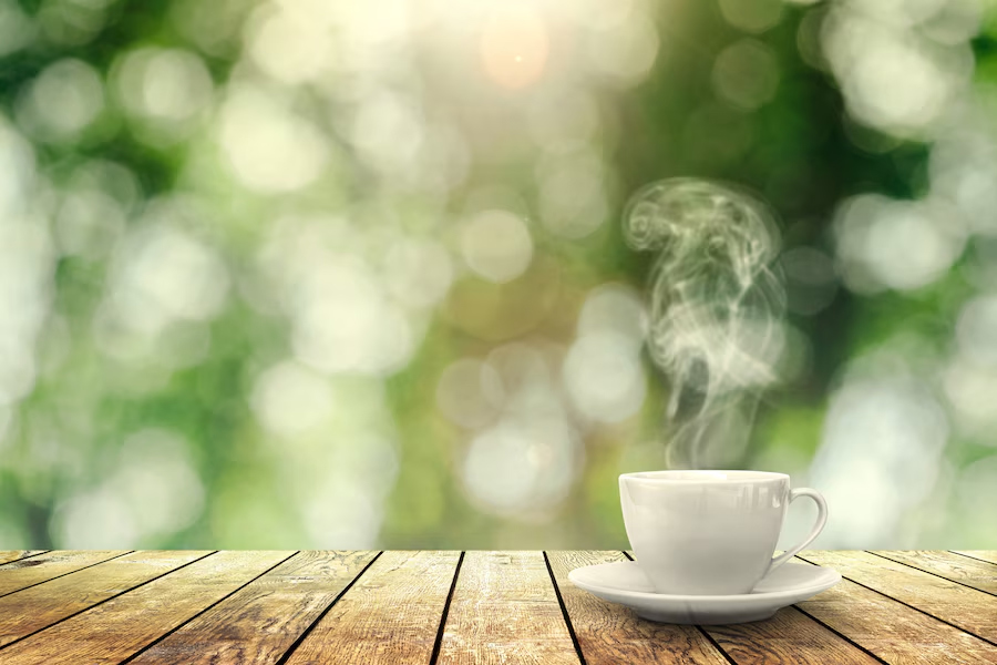 Foods that block iron absorption