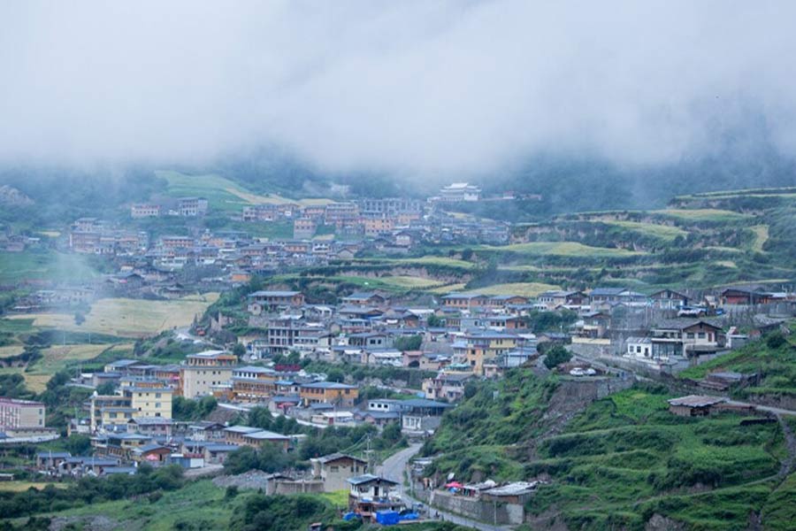 where to celebrate new year 2025 in india public reviews in hindi