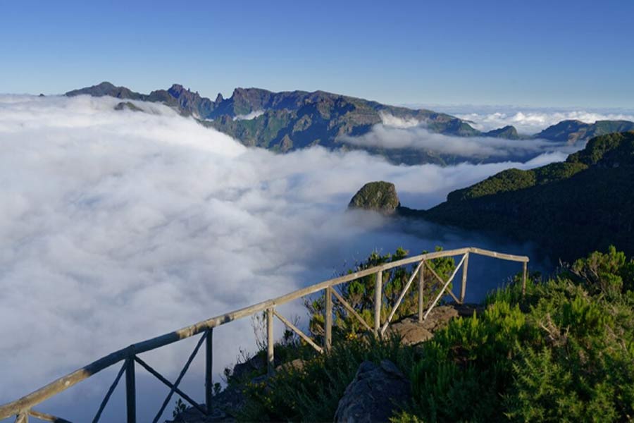 where to celebrate new year in india