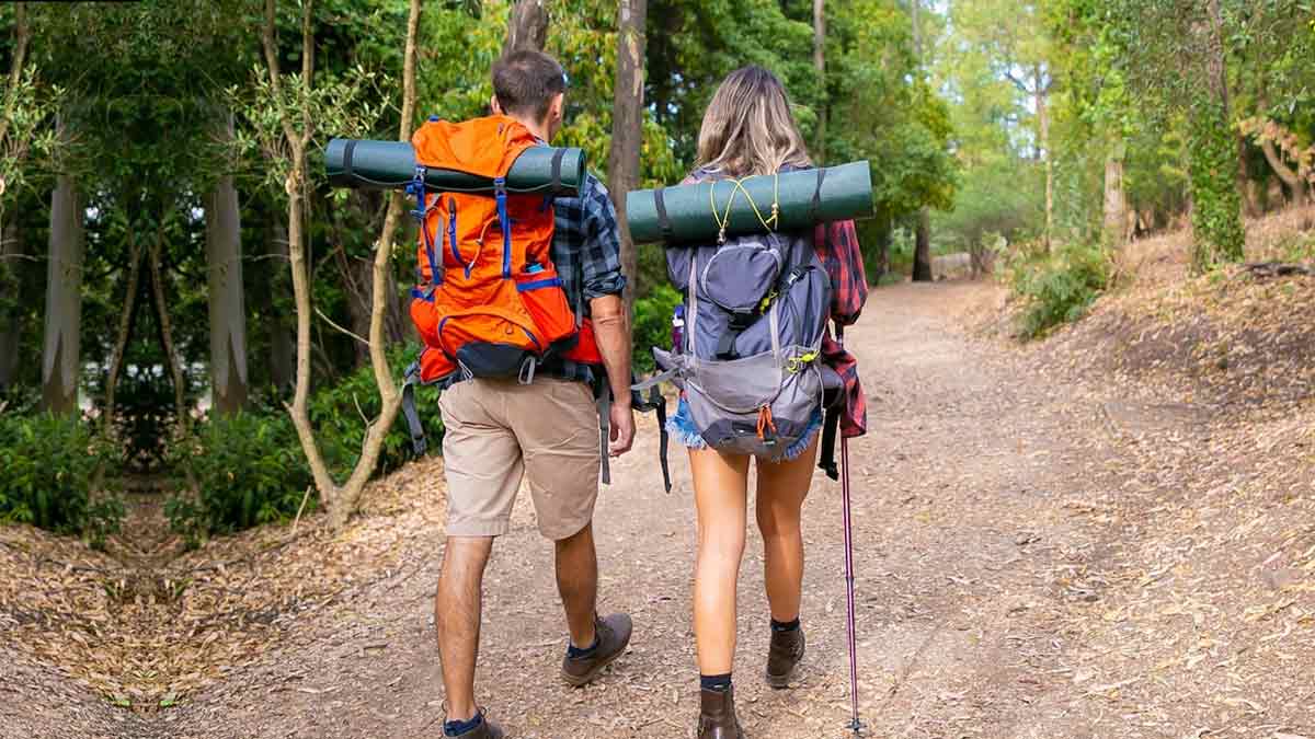 kerala chembra peak important travel tips for trekking lovers1