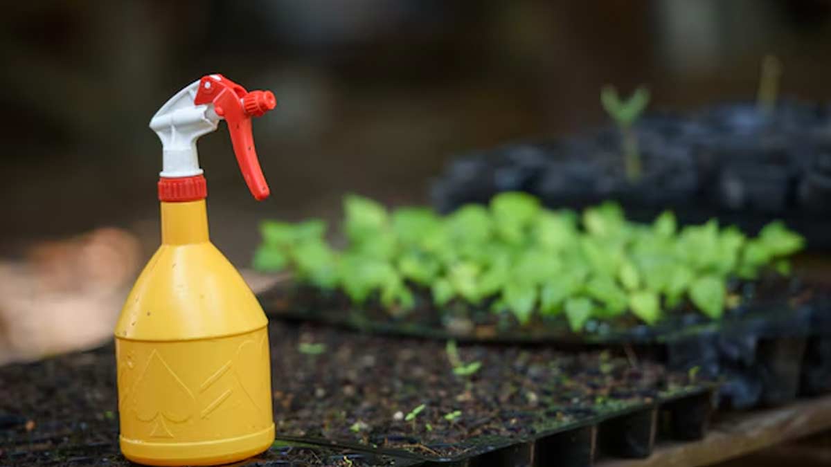 How to use fertilizer