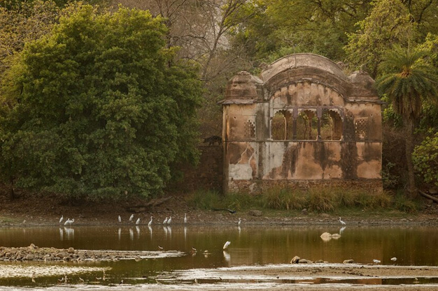 nishat bagh kashmir in hindi