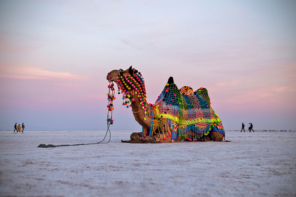 Great Rann Of Kutch