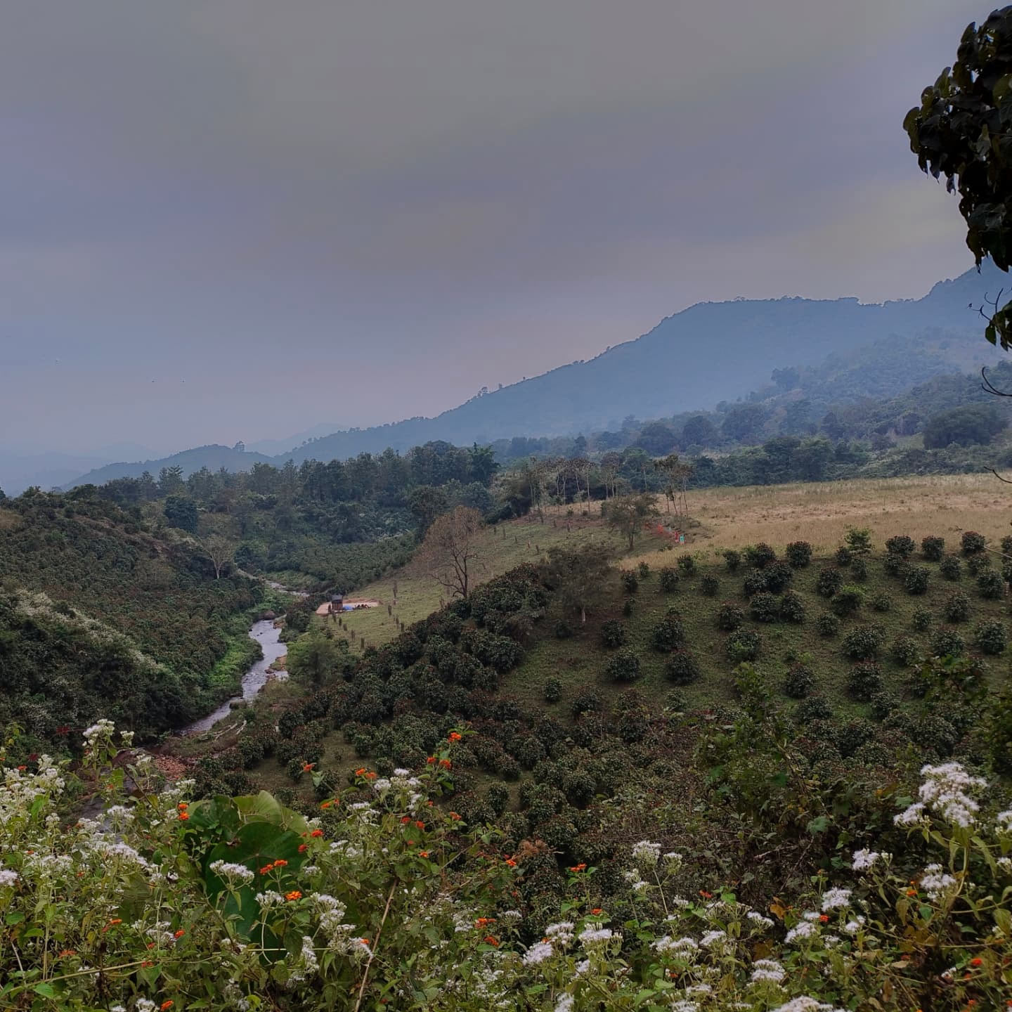 maredumilli in andhra pradesh is so famous