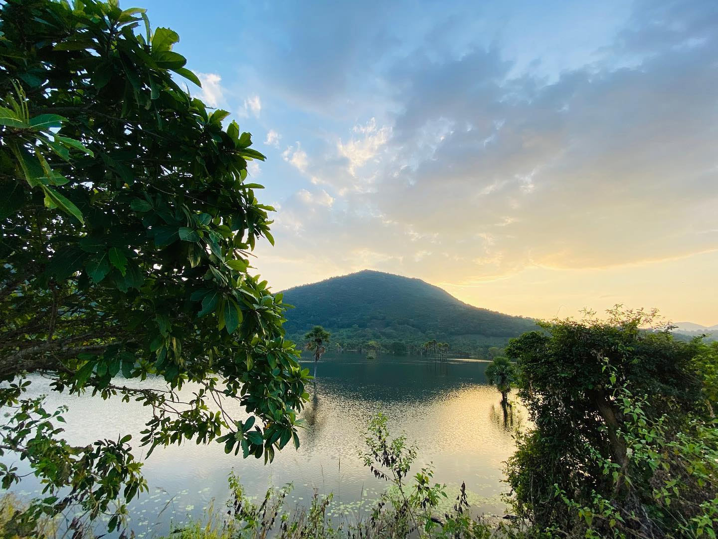 why maredumilli is so famous