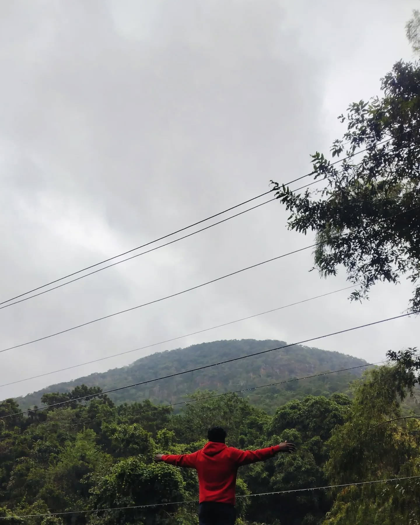 why maredumilli is so famous in hindi