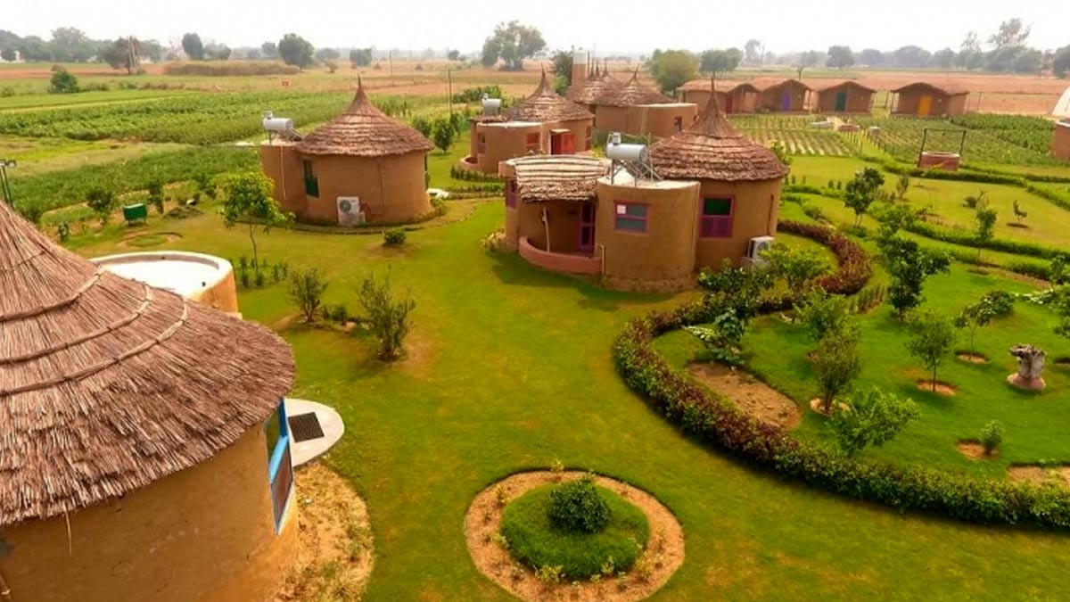 Pratapgarh Farms new year