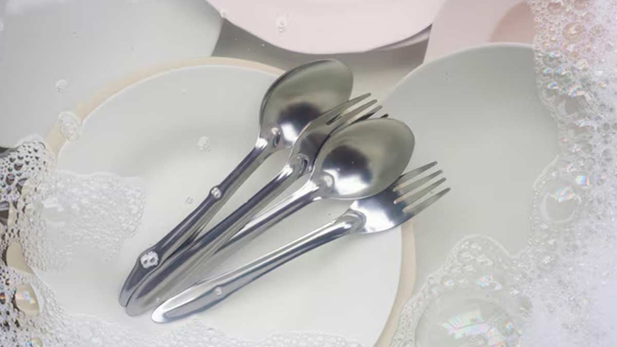 how to clean cutlery in hindi (2)
