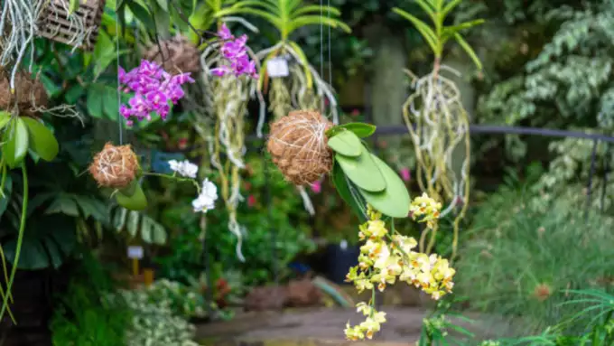 how to create codecam