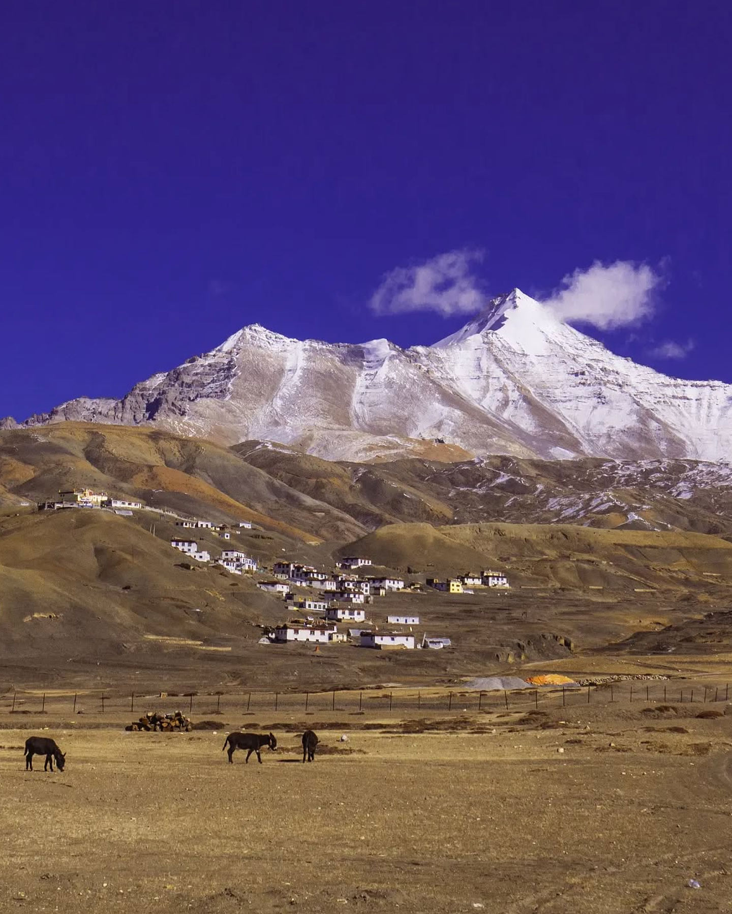 Where Is Hikkim Village In Himachal