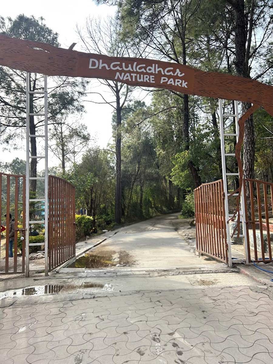 dhauladhar nature park palampur