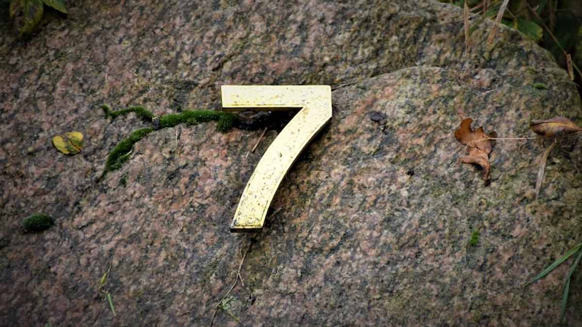 love-life-of-7-number-numerology