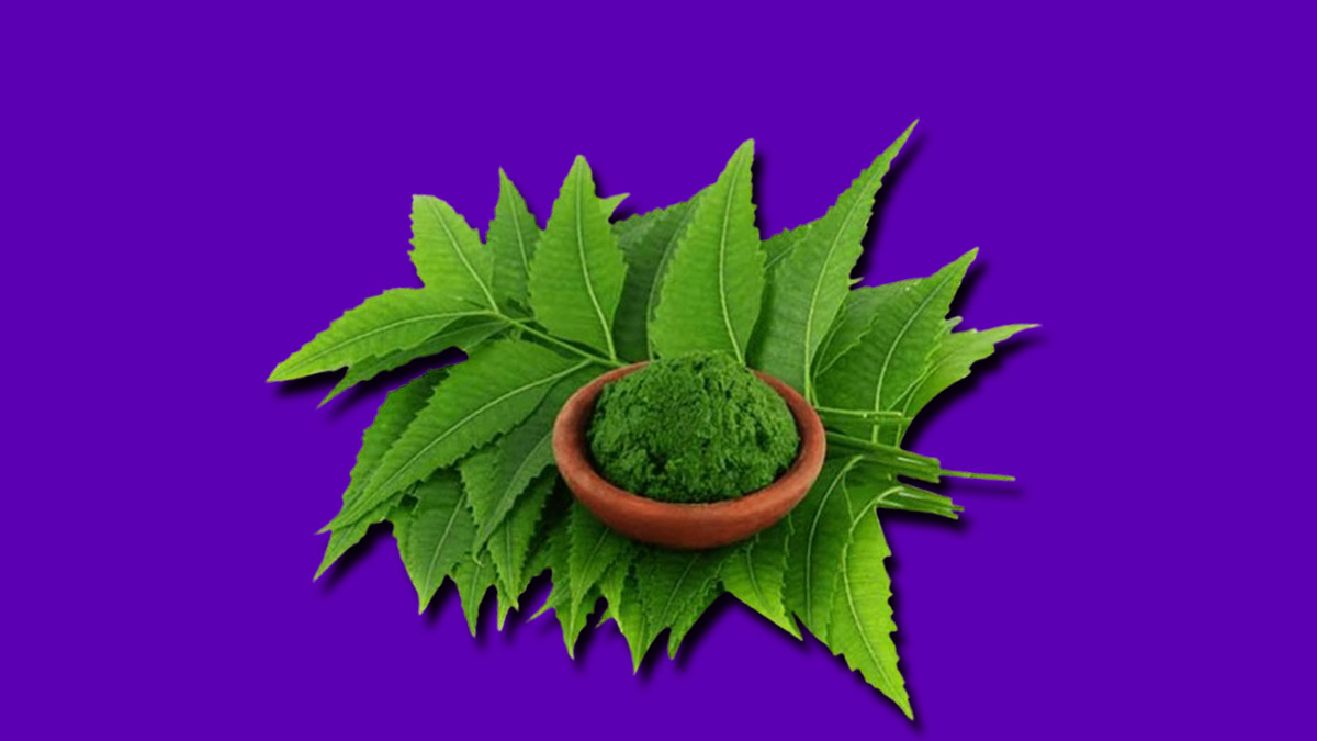 Neem powder will help