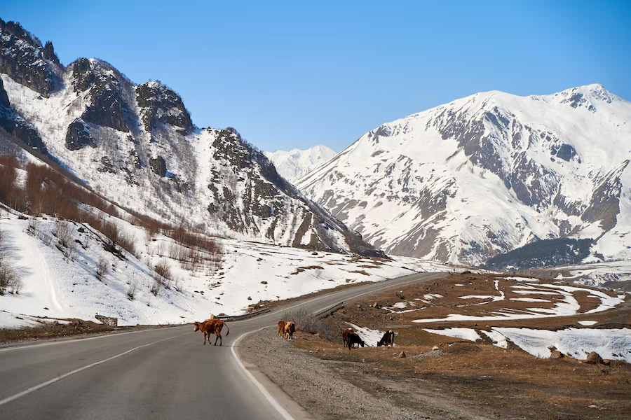 How to travel to Zanskar in hindi