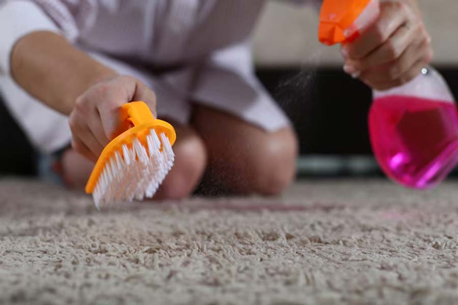 tips to clean carpet