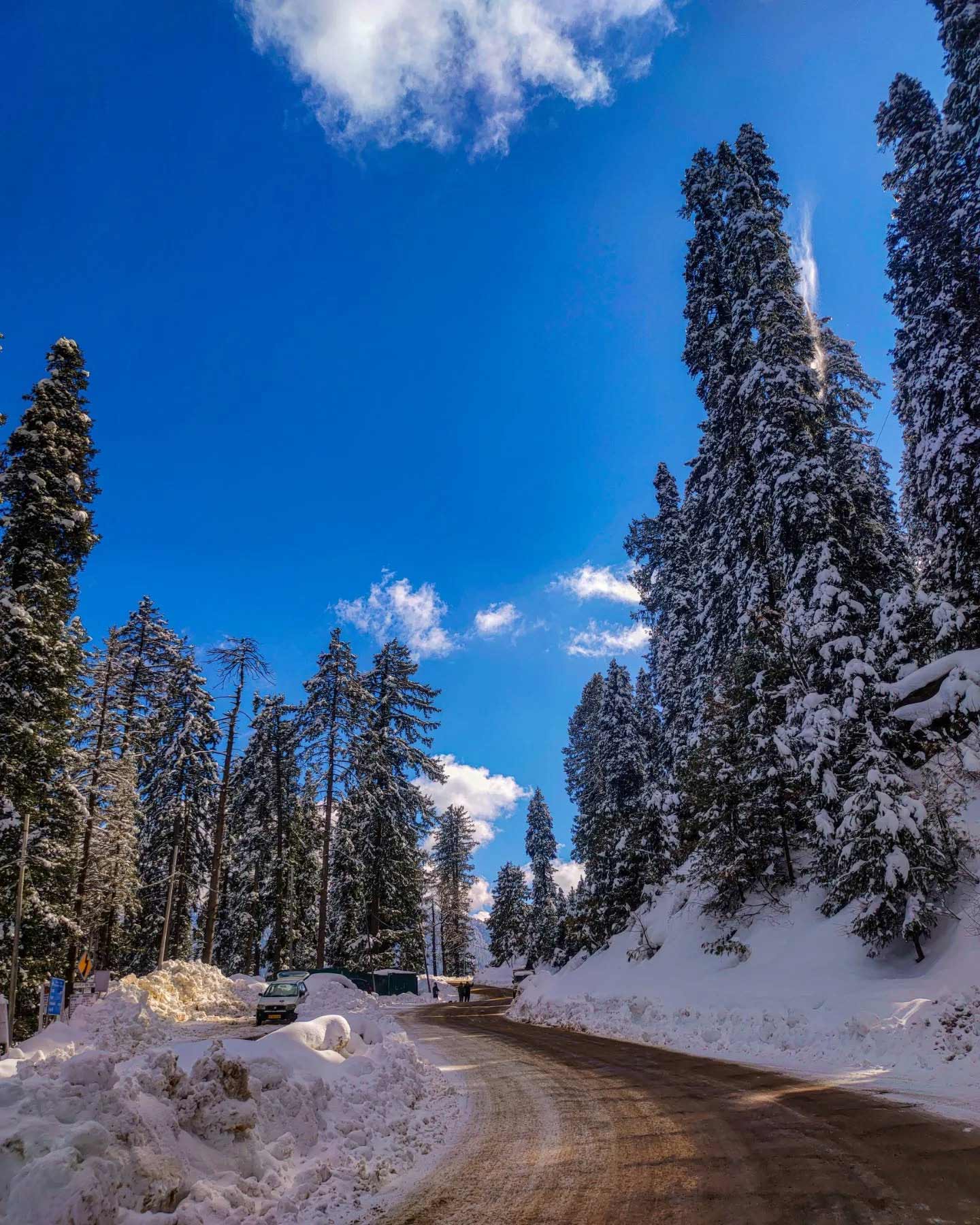 Best Places In Narkanda