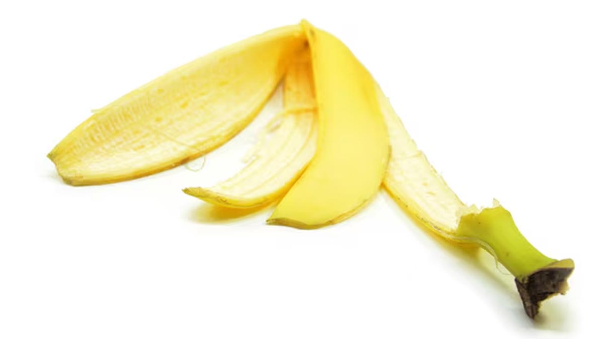 banana peel