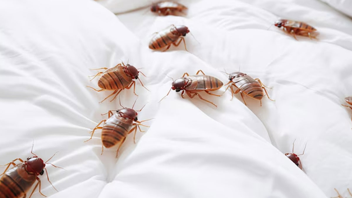 tricks to remove khatmal