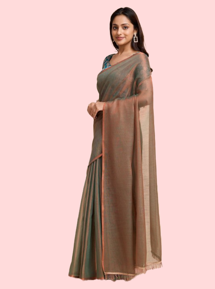 tissue saree latest designs (4)