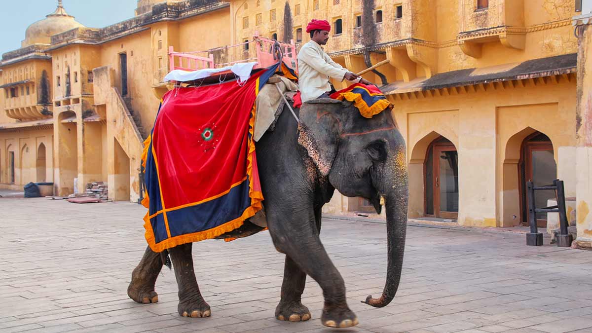 rajasthan to pune india top 3 tourist places for kids1