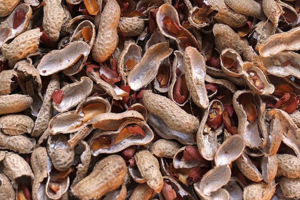 peanut shell fertilizer