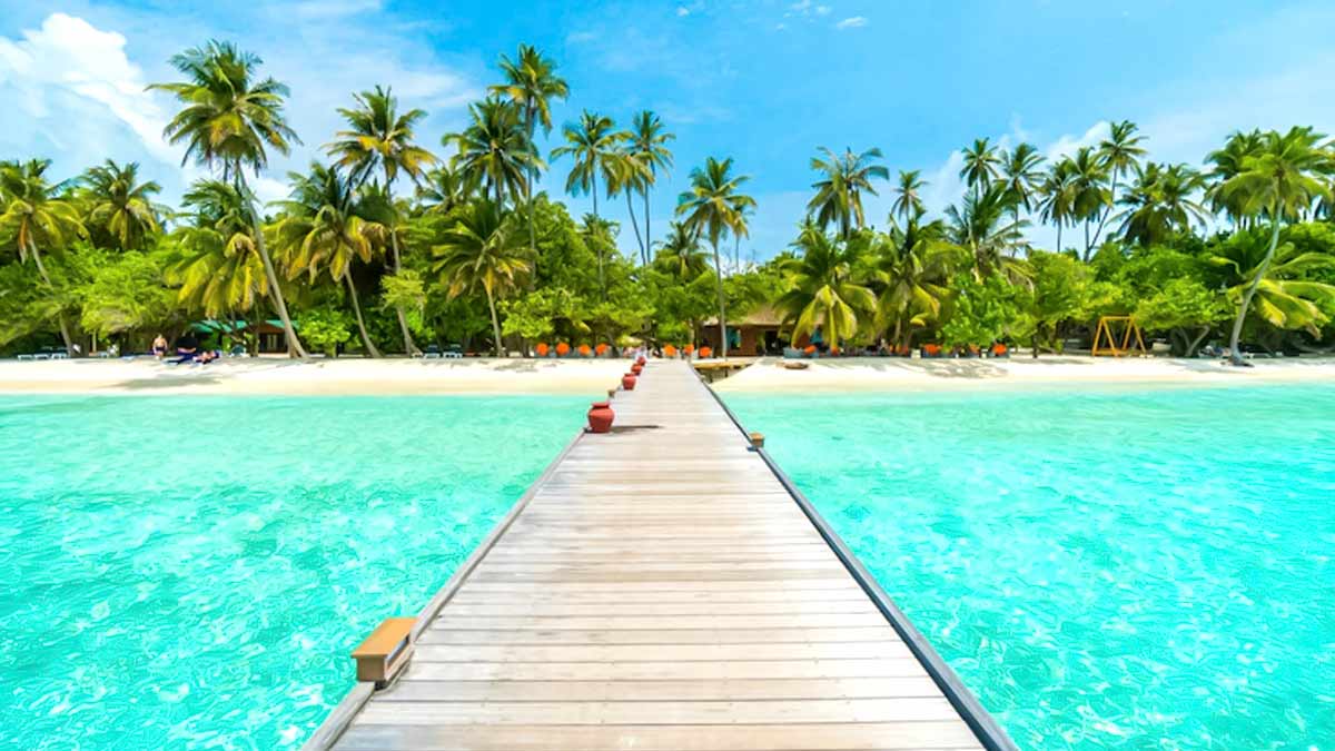 chandigarh to goa tour package budget time and all details11