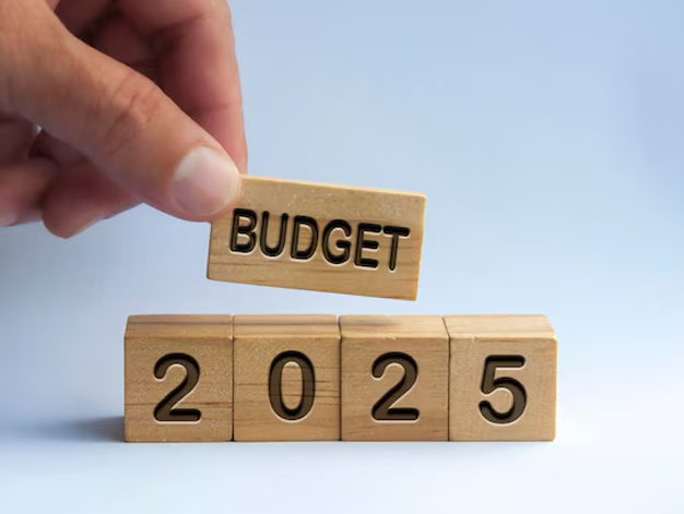 union budget 2025