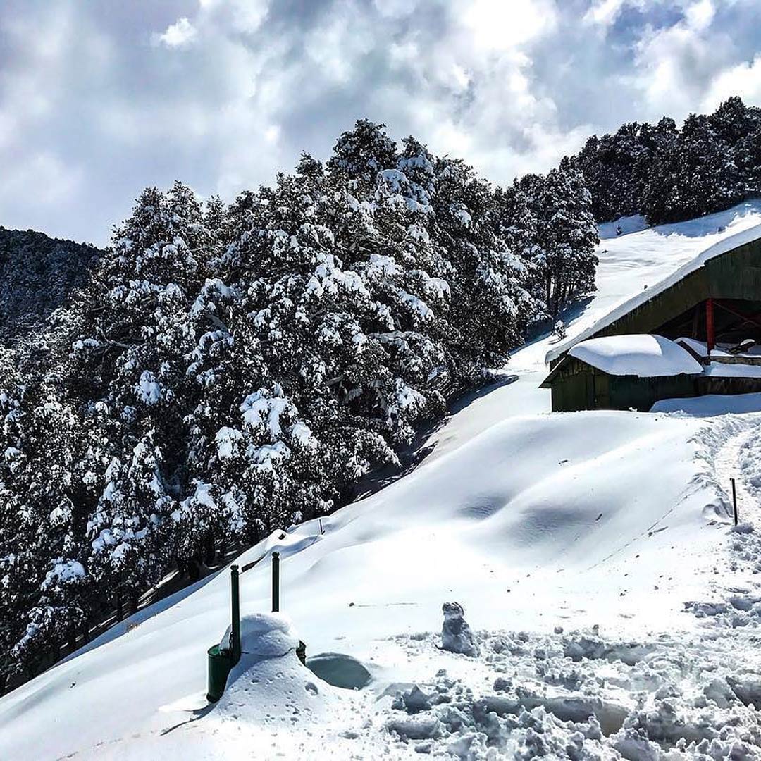Snowfall In Auli